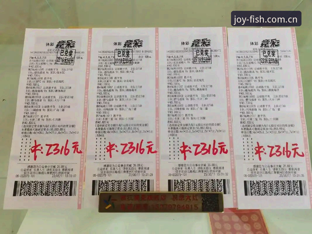 揭秘乐鱼体育竞彩App手机版：赛况数据背后的专业分析与真实体验